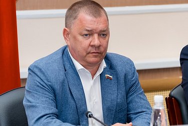 Разработаны новые нормы в закон о бродячих животных